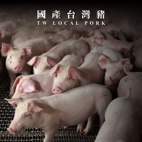 國產優質台灣豬